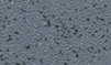 Grabo嘉宝金刚砂20JSK1260 Grabo嘉宝金刚砂20JSK1260
