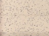 Grabo嘉宝金刚砂20JSK2251-03-228 Grabo嘉宝金刚砂20JSK2251-03-228