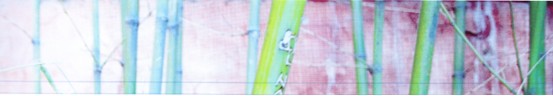 福尔波集团里程碑