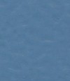 得嘉PVC运动地板 Blue