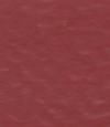 得嘉PVC运动地板 Red