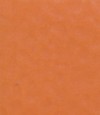 得嘉PVC运动地板 Orange2